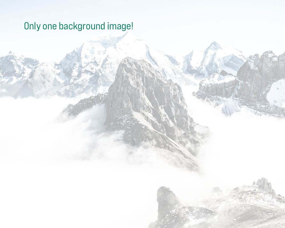 Internet Explorer only shows one mountain background for an element of code.