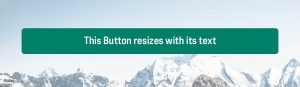 A green button with text that says "This button resizes with its text" but the button's width stretches past the size of the text