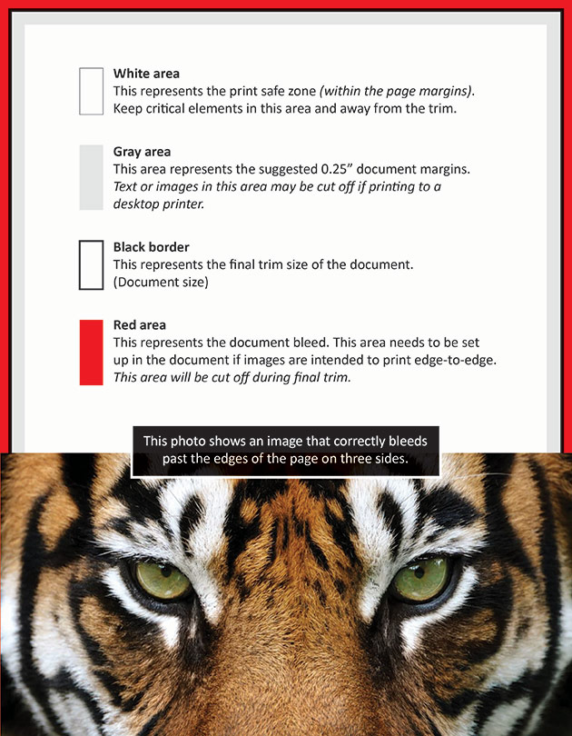 InDesign Bleed Example